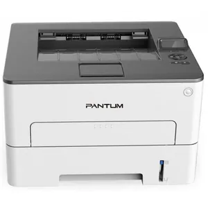 Замена принтера Pantum P3300DN в Санкт-Петербурге